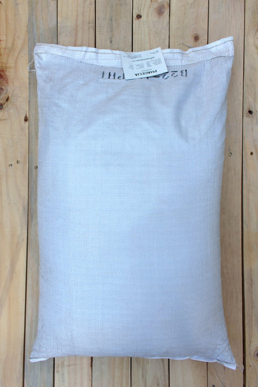 Phacelia Super Bee VNS Cover Crop Seed - 50 lb Bag - Seven Springs Farm Supply