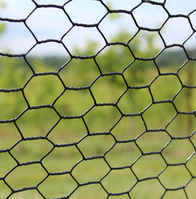 Steel Hex Wire PVC Coated - 2'x100' Roll