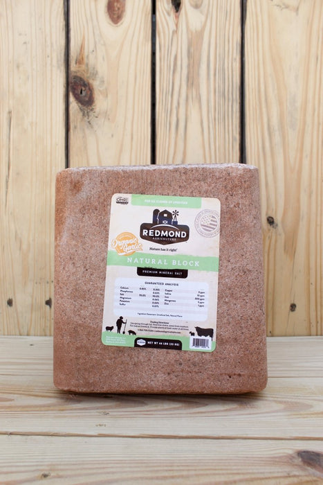 Redmond Agriculture Natural Salt Block with Garlic - 44 lb - Seven Springs Farm Supply