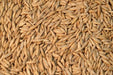 Spring Oats OG Cover Crop Seed - 48 lb Bag - Seven Springs Farm Supply