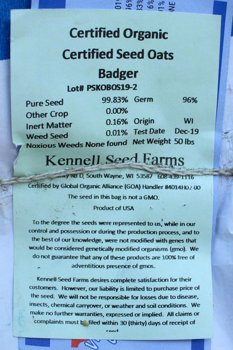 Spring Oats OG Cover Crop Seed - 48 lb Bag - Seven Springs Farm Supply