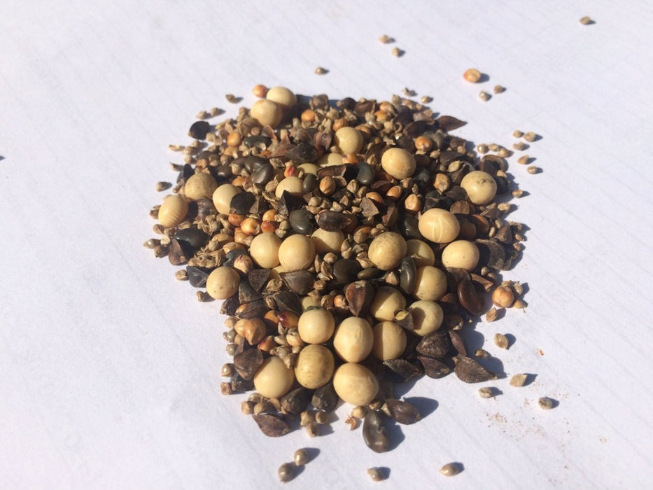 Summer Max OG Cover Crop Mix - 50 lb Bag - Seven Springs Farm Supply