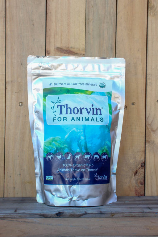 Thorvin Kelp - 3 lb Bag - Seven Springs Farm Supply